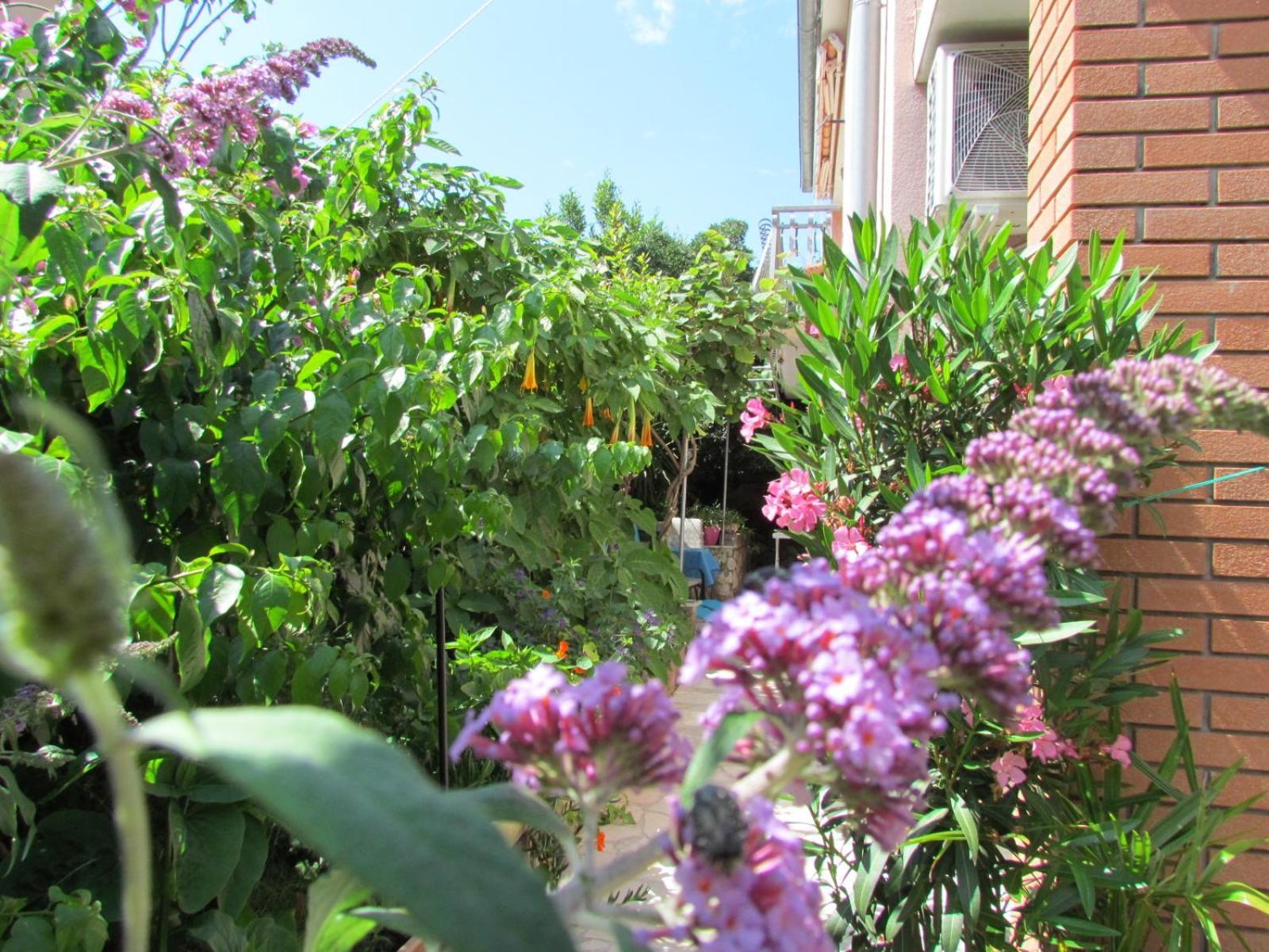 Apartments Bura & Jugo, Cres, Without Stress エクステリア 写真