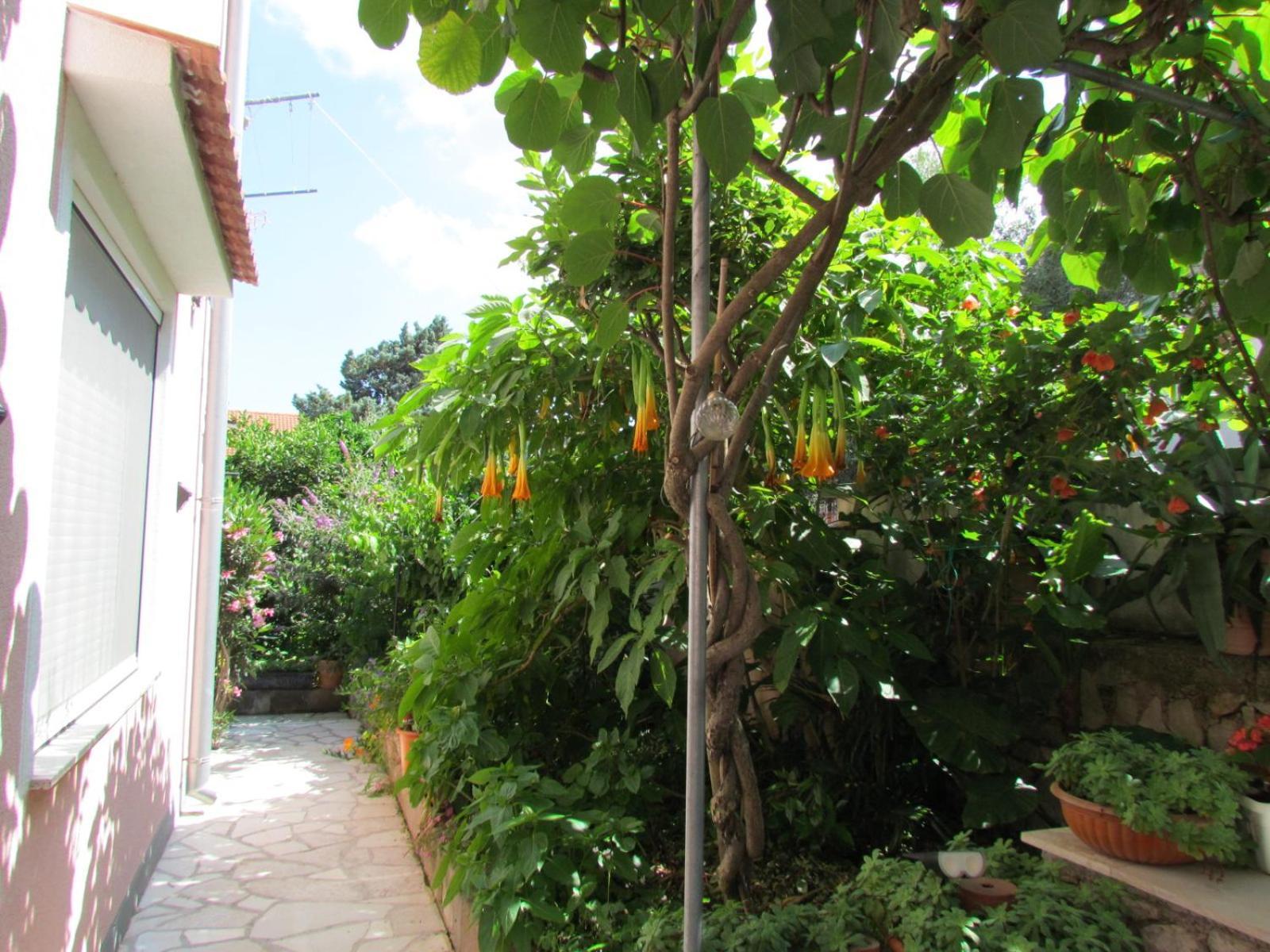 Apartments Bura & Jugo, Cres, Without Stress エクステリア 写真