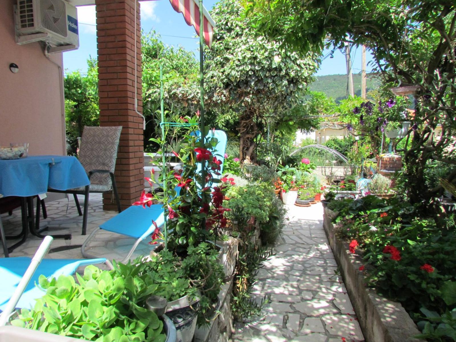 Apartments Bura & Jugo, Cres, Without Stress エクステリア 写真