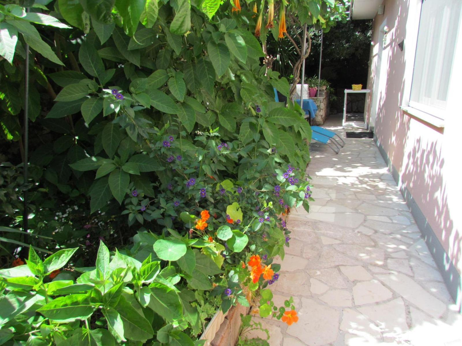 Apartments Bura & Jugo, Cres, Without Stress エクステリア 写真